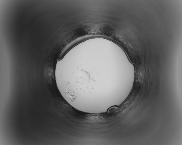 X0000093370521200711081527
