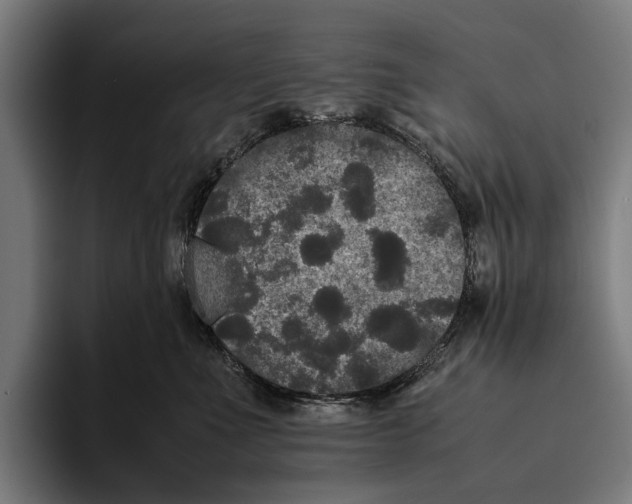 X0000093370523200711081527