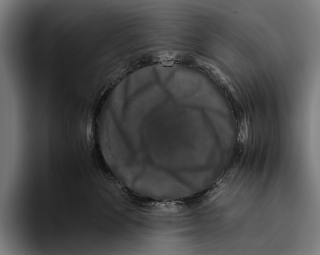 X0000093370524200711081527