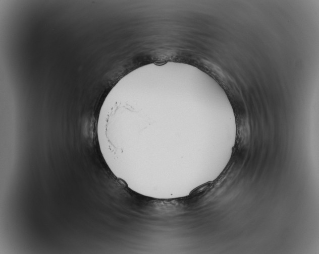 X0000093370525200711081527