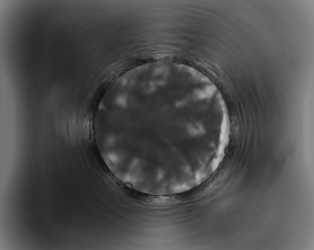 X0000093370527200711081527