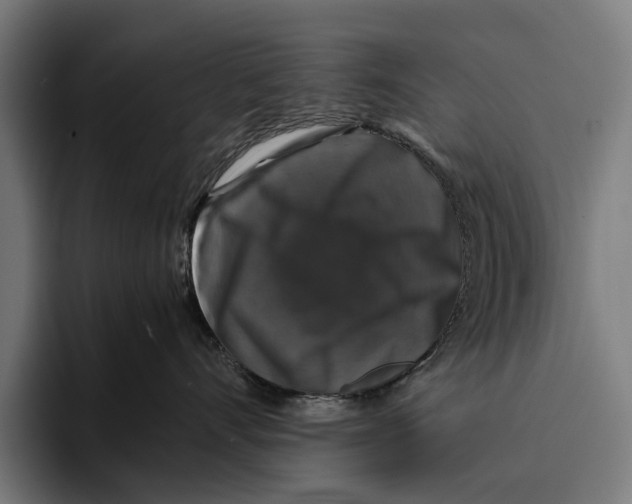 X0000093370528200711081527