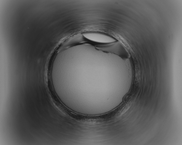 X0000093370530200711081526