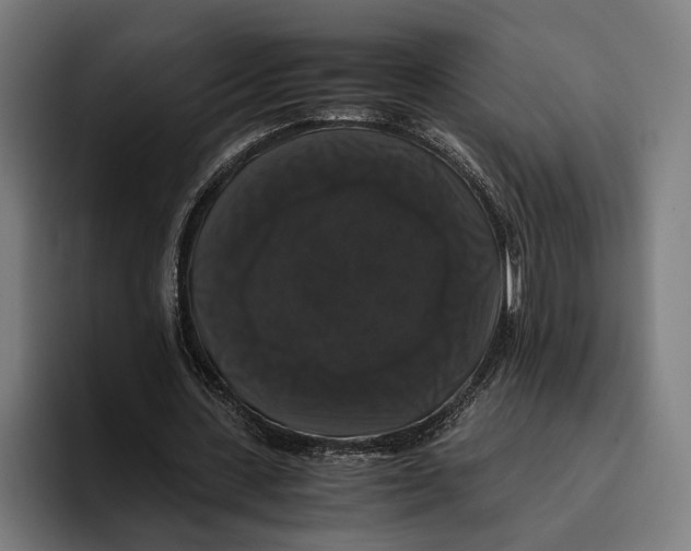 X0000093370531200711081527
