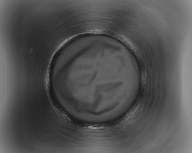 X0000093370532200711081527