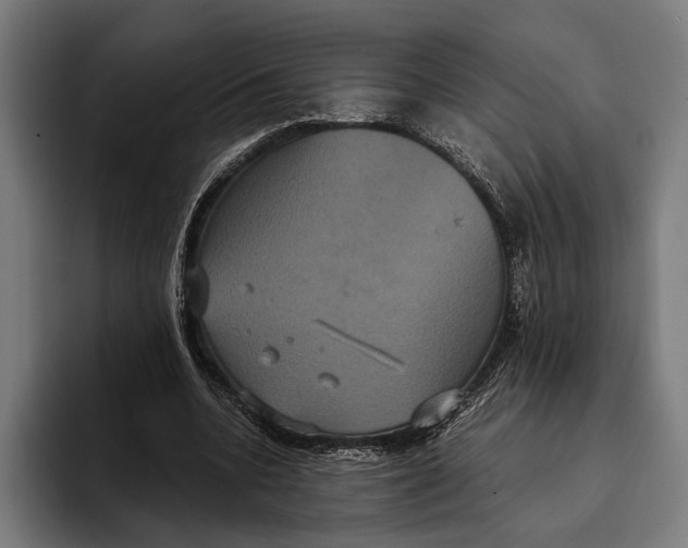 X0000093370536200711081527