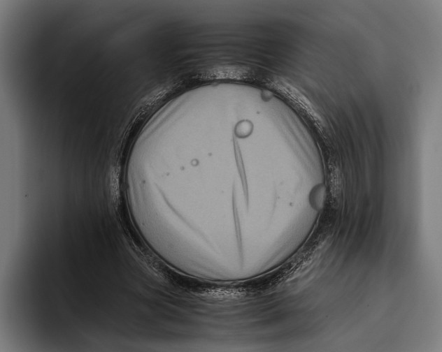 X0000093370537200711081527
