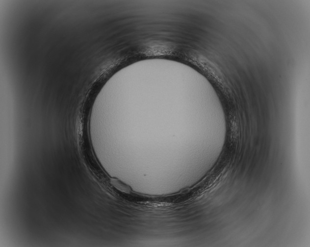 X0000093370539200711081527