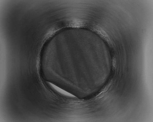 X0000093370540200711081527