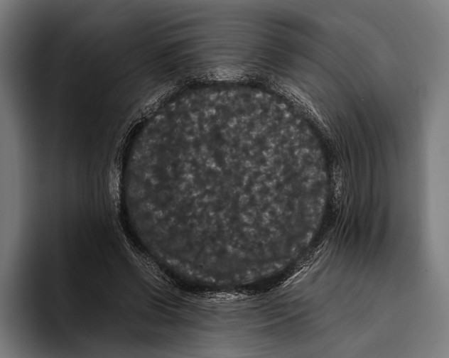 X0000093370542200711081527