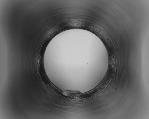 X0000093370544200711081527