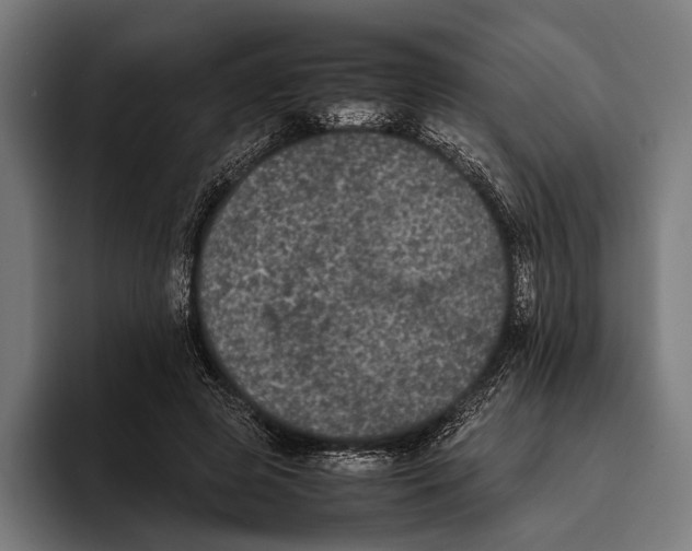 X0000093370545200711081527