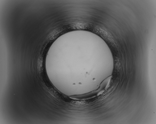 X0000093370548200711081527