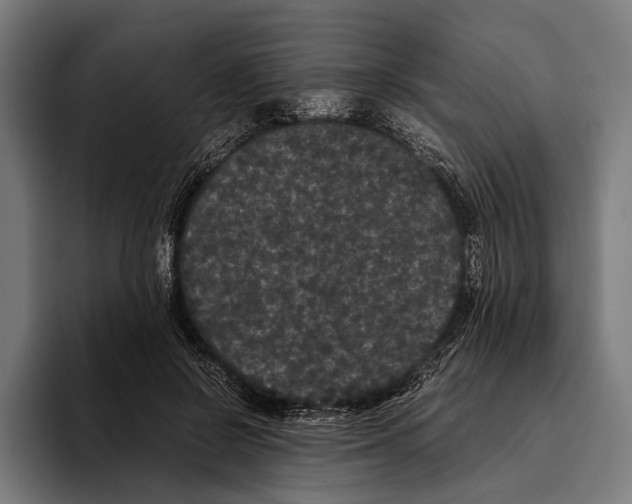 X0000093370550200711081527