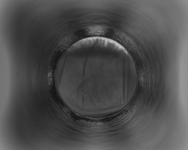 X0000093370551200711081527