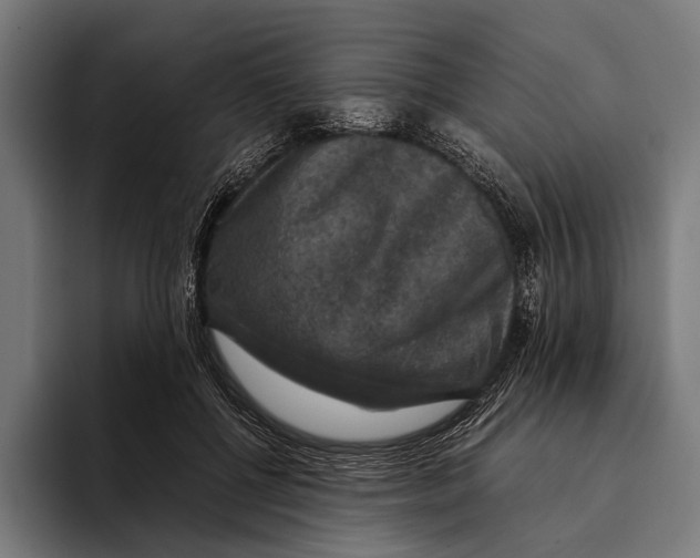 X0000093370552200711081527