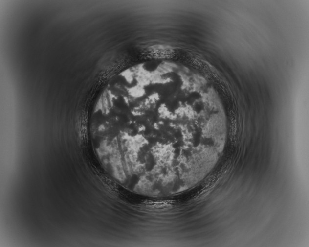 X0000093370553200711081527
