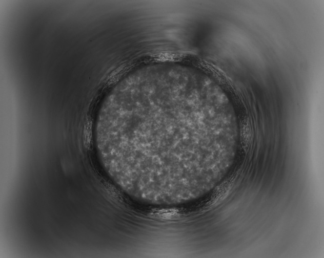 X0000093370554200711081527