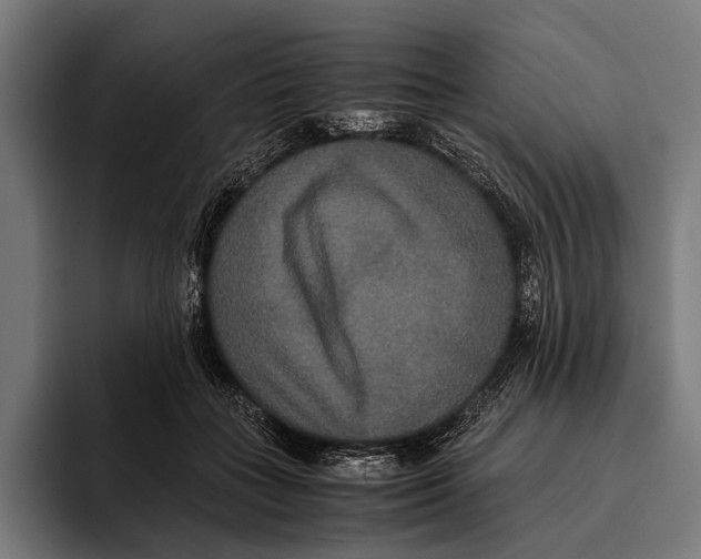 X0000093370555200711081527