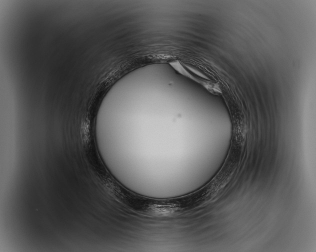 X0000093370556200711081527