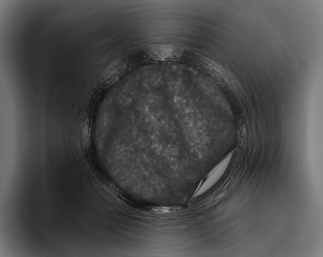 X0000093370558200711081527