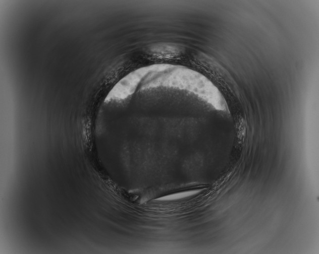 X0000093370559200711081527