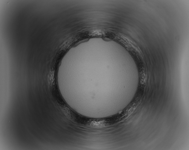 X0000093370560200711081527