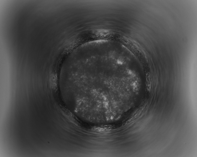 X0000093370563200711081527