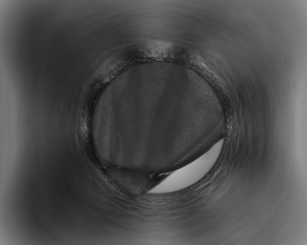 X0000093370566200711081527