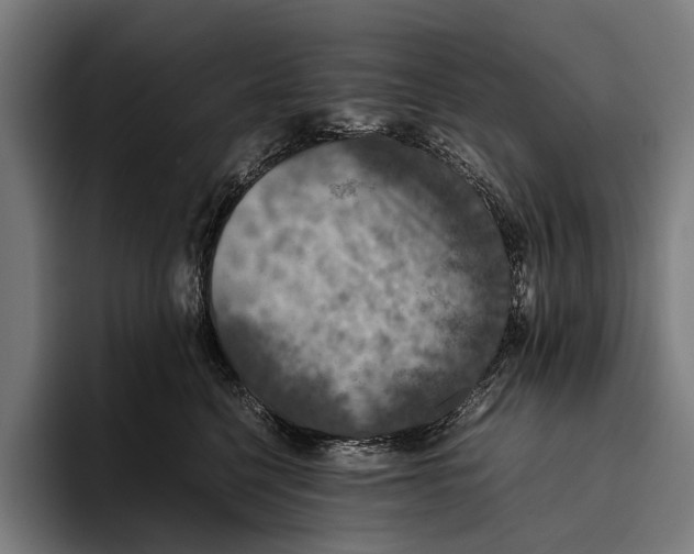 X0000093370568200711081527