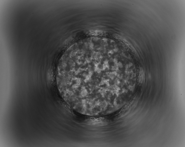 X0000093370569200711081527