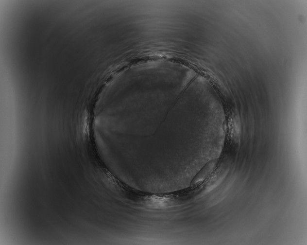X0000093370570200711081527