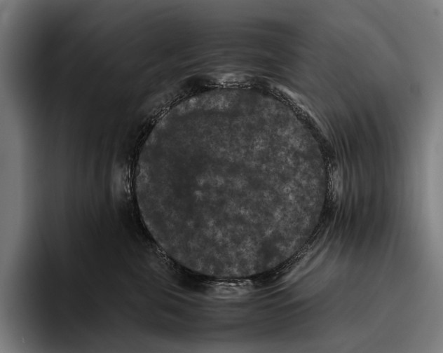 X0000093370571200711081527