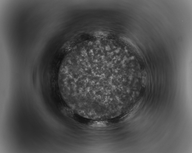 X0000093370573200711081527