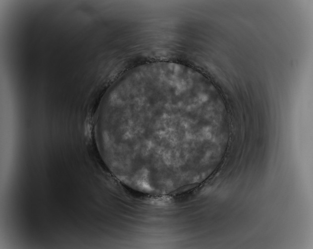X0000093370576200711081527