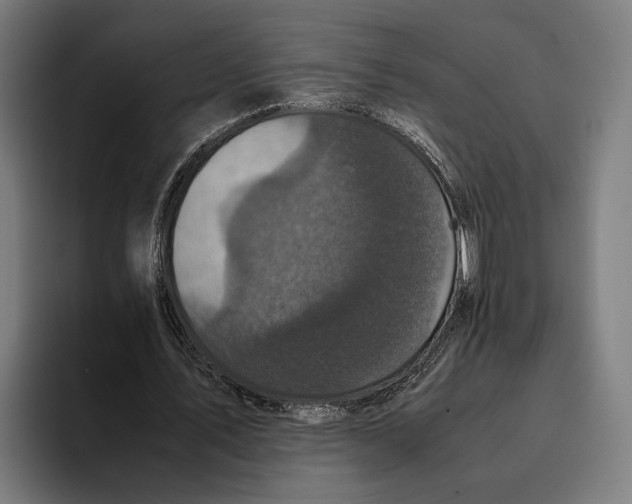 X0000093370579200711081526