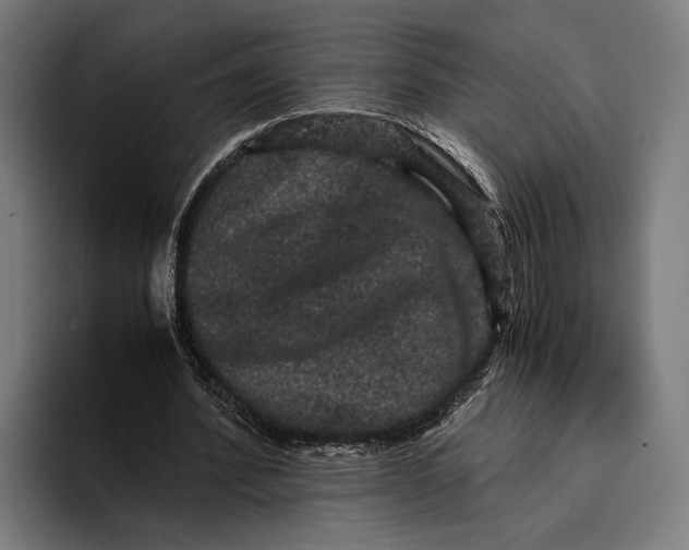 X0000093370580200711081526
