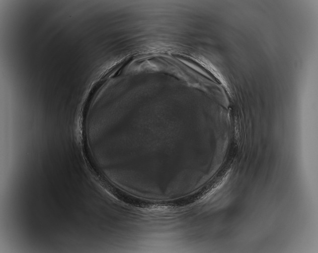 X0000093370581200711081526