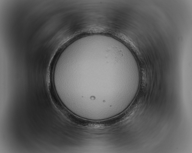X0000093370582200711081526