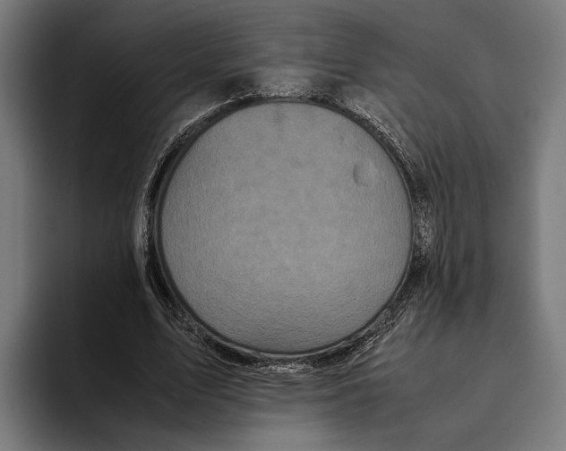 X0000093370583200711081526