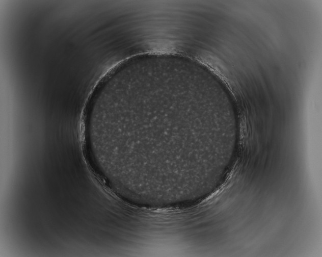 X0000093370584200711081526