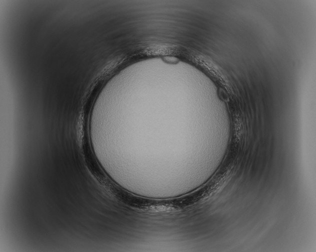 X0000093370586200711081526