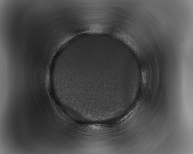 X0000093370588200711081526