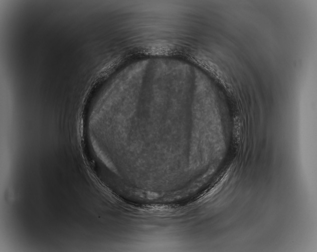X0000093370589200711081526
