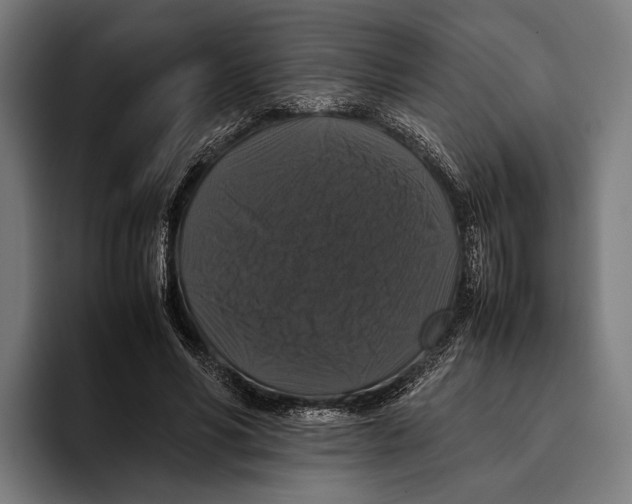 X0000093370590200711081526