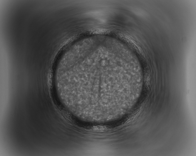 X0000093370591200711081526