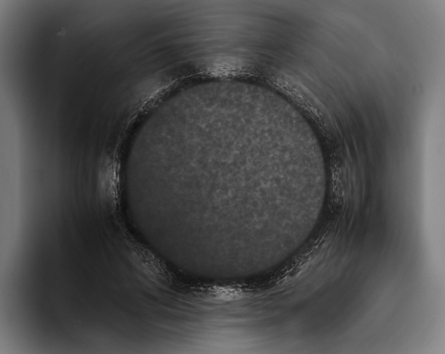 X0000093370592200711081526