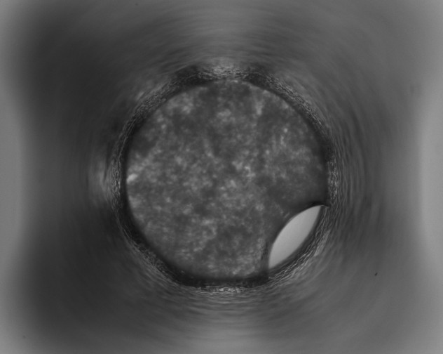 X0000093370593200711081526