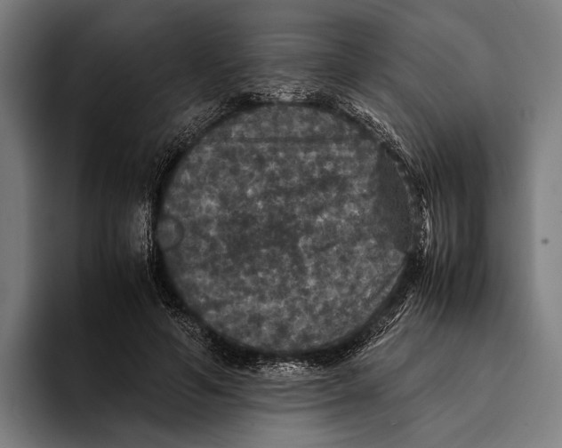 X0000093370594200711081526