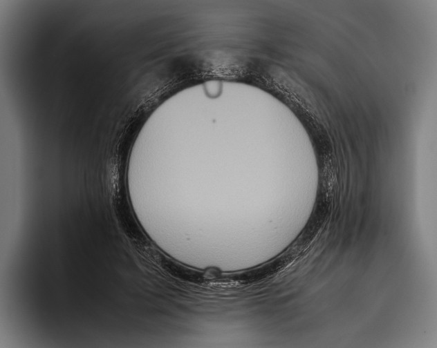 X0000093370595200711081526